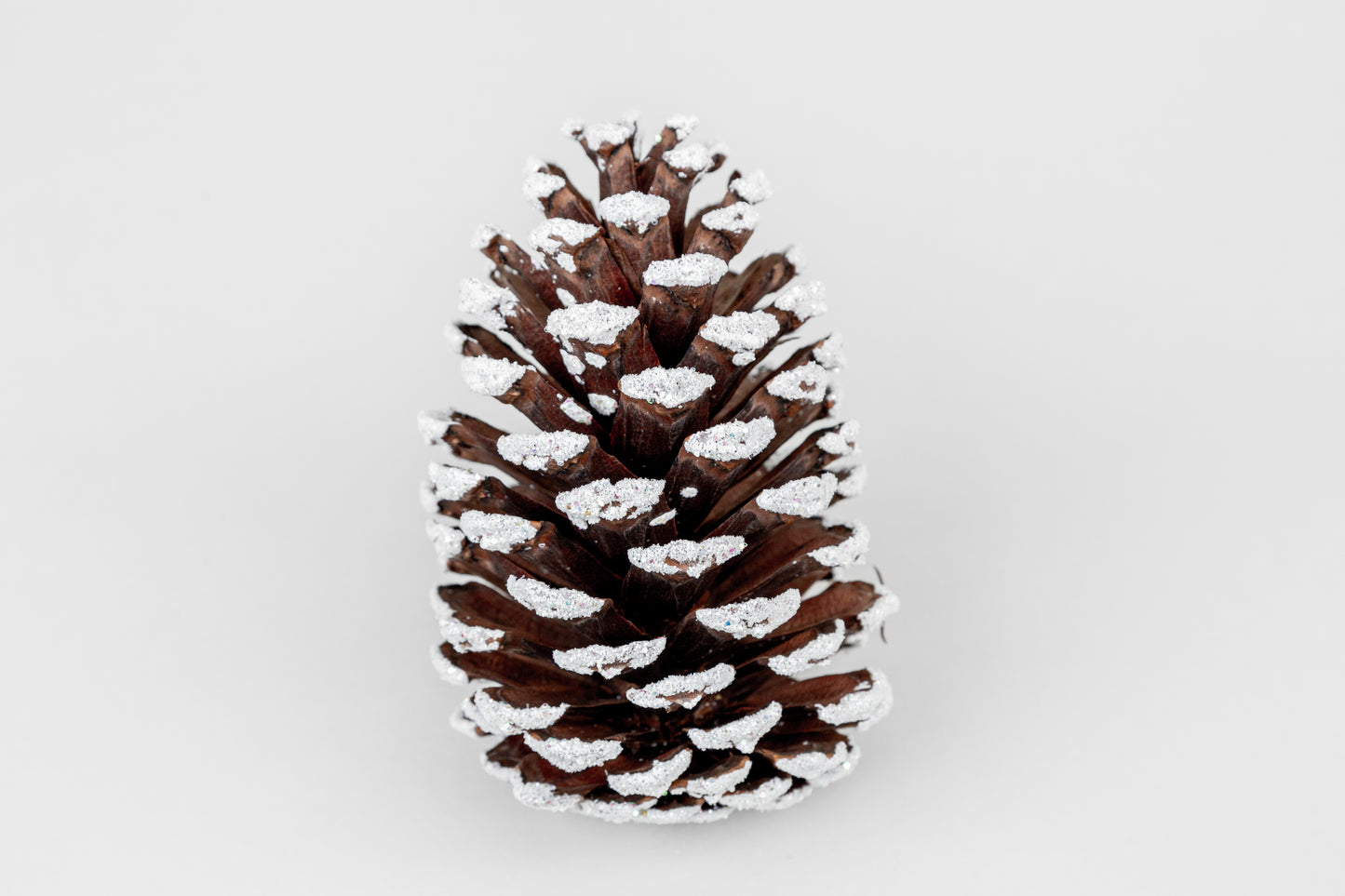 Slash Cones (4-6"), 100 Pcs - 18" Hyacinth Pick