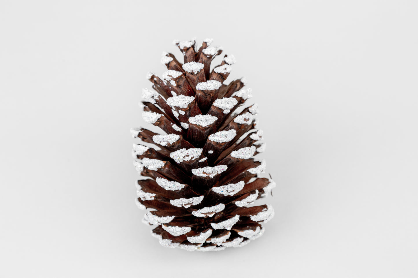 Slash Cones (4-6"), 100 Pcs - 18" Hyacinth Pick