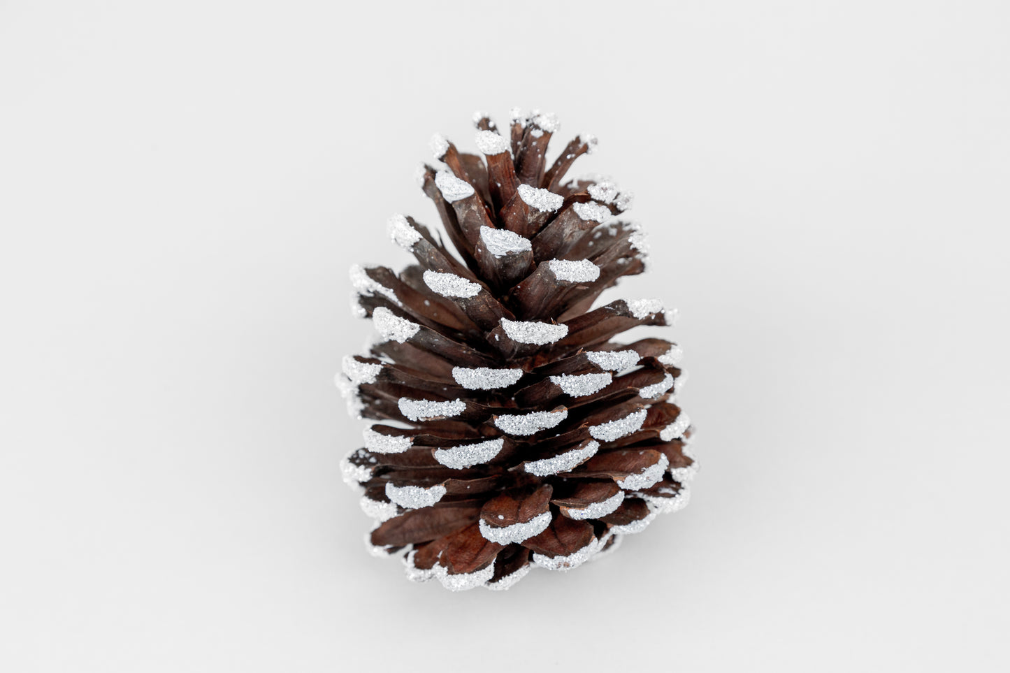 Slash Cones (4-6"), 100 Pcs - 18" Hyacinth Pick