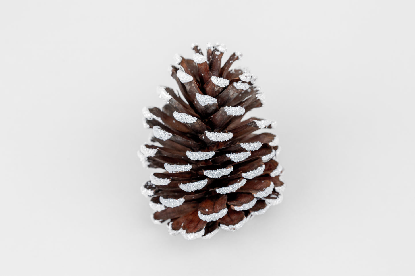 Long Leaf Cones (6-8"), 100 Pcs