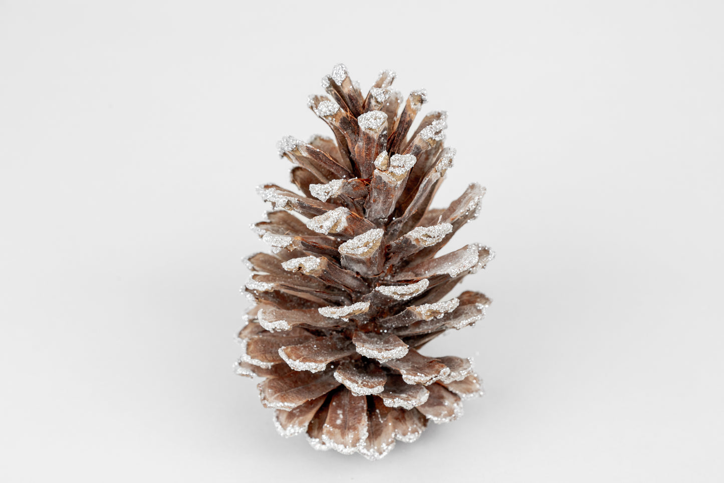 Long Leaf Cones (6-8"), 100 Pcs