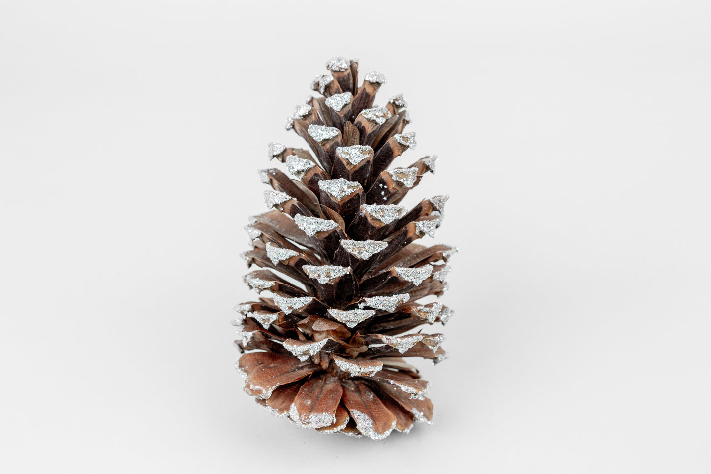 Slash Cones (4-6"), 100 Pcs - 18" Hyacinth Pick