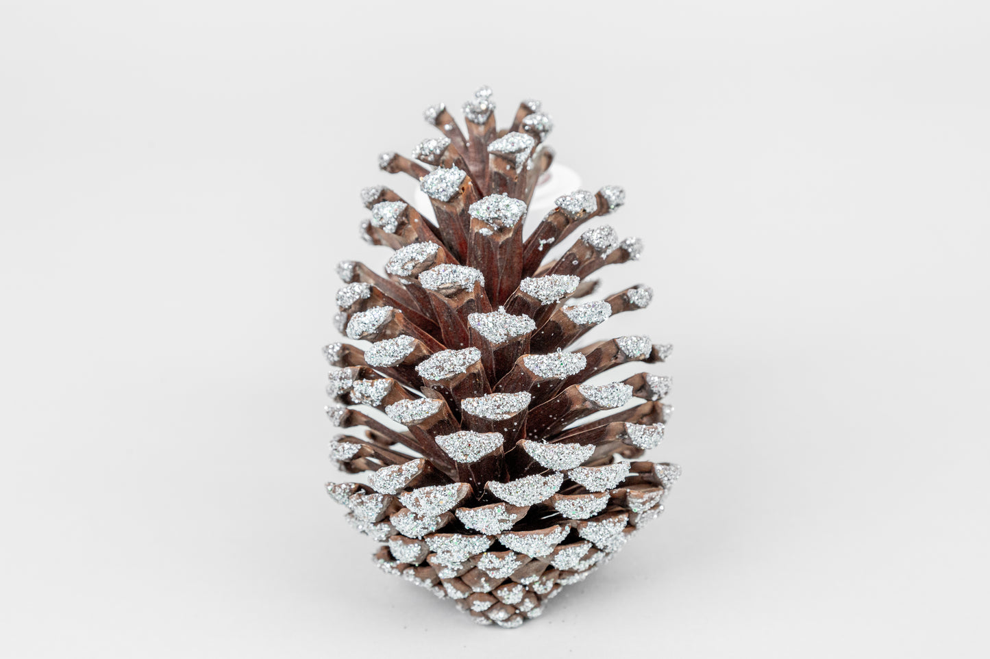 Slash Cones (4-6"), 100 Pcs - 18" Hyacinth Pick