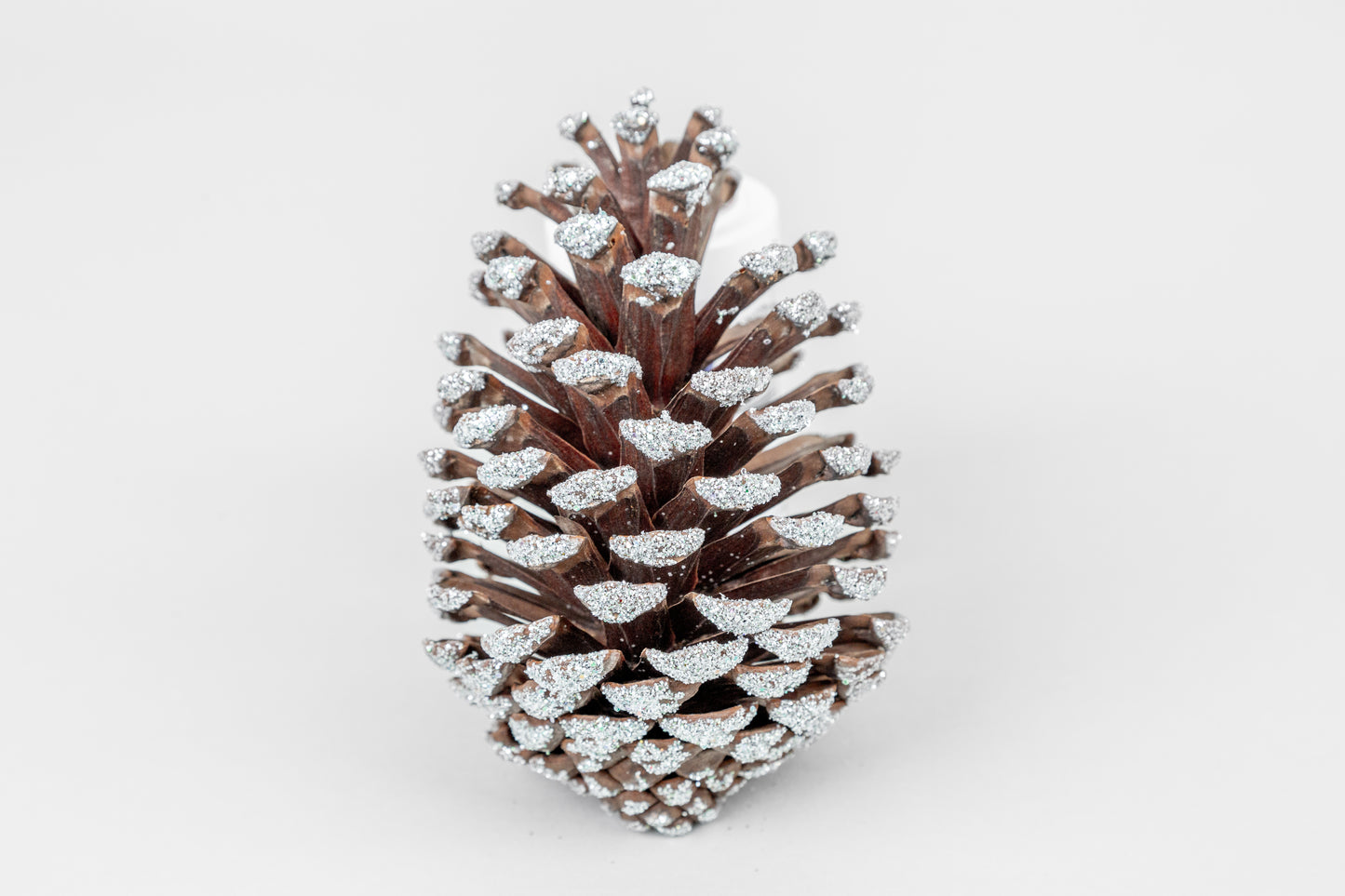 Slash Cones (4-6"), 100 Pcs - 18" Hyacinth Pick