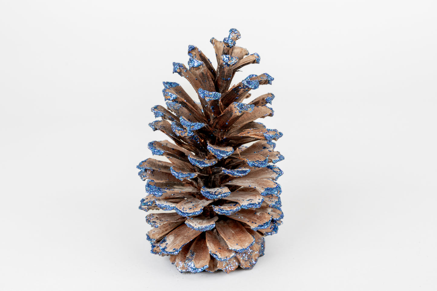 Long Leaf Cones (6-8"), 100 Pcs