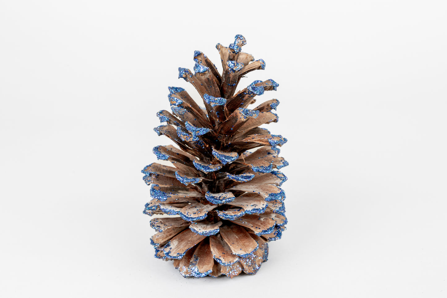 Long Leaf Cones (6-8"), 100 Pcs
