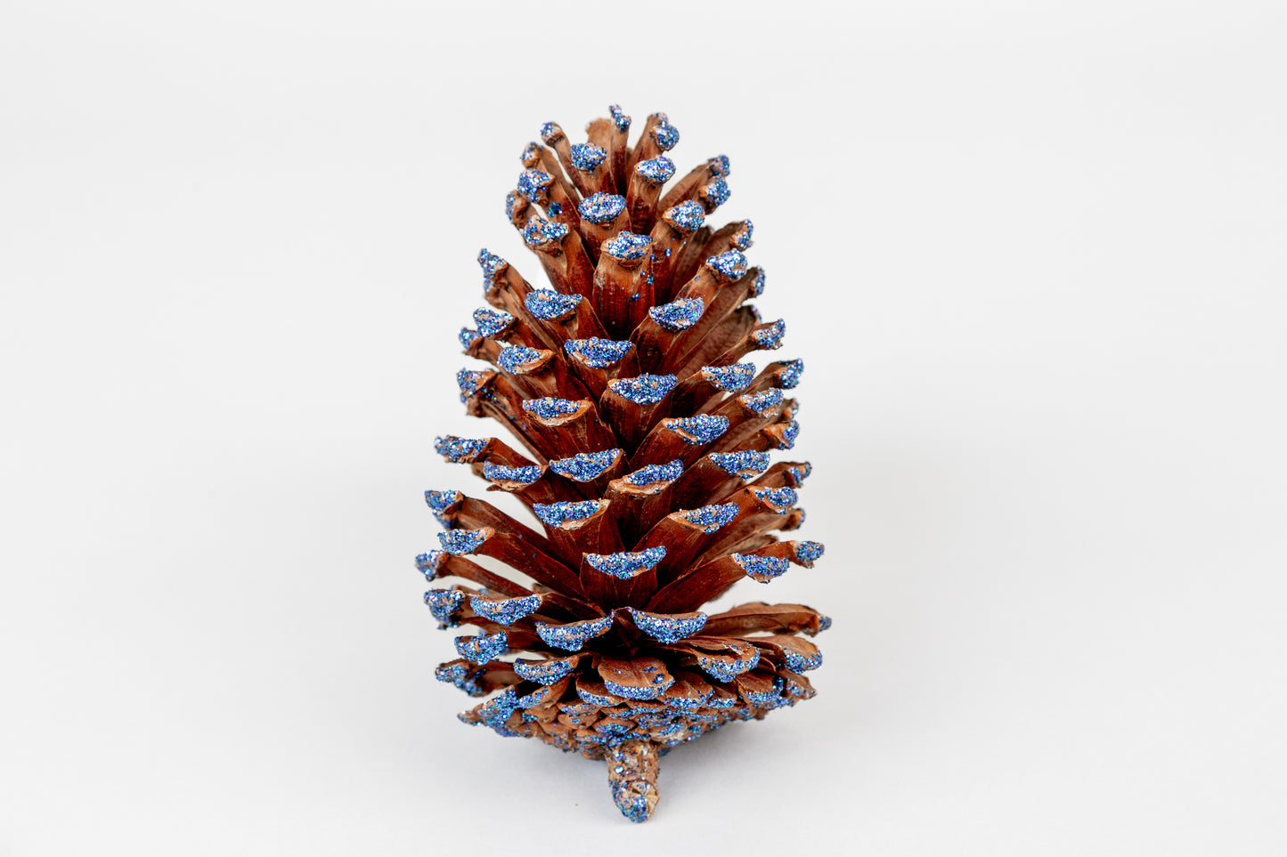 Slash Cones (4-6"), 100 Pcs - 18" Hyacinth Pick