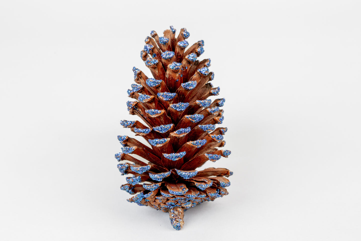 Slash Cones (4-6"), 100 Pcs - 18" Hyacinth Pick