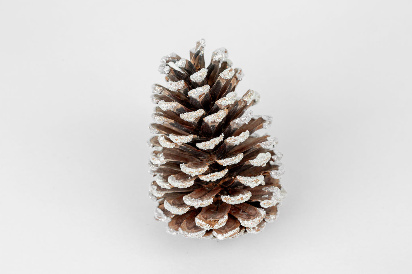 Slash Cones (4-6"), 100 Pcs - 18" Hyacinth Pick
