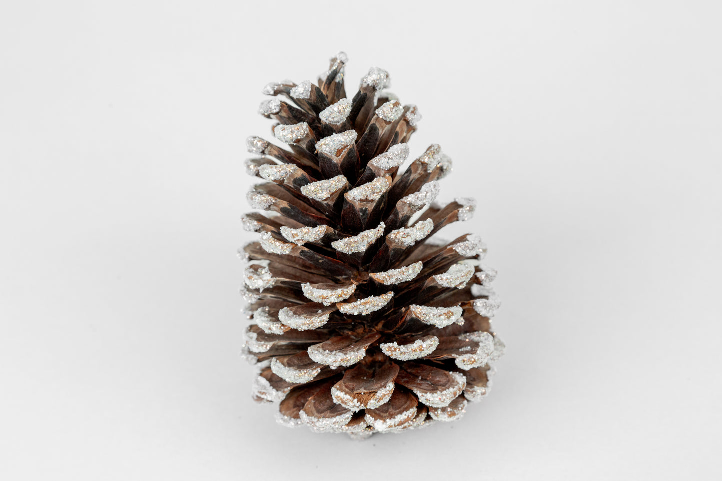 Slash Cones (4-6"), 100 Pcs - 18" Hyacinth Pick