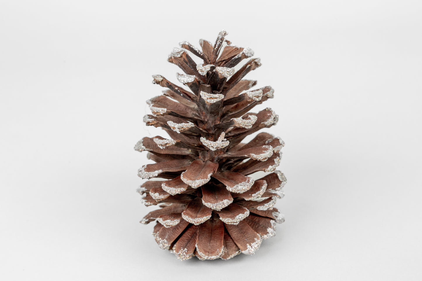 Long Leaf Cones (6-8"), 100 Pcs