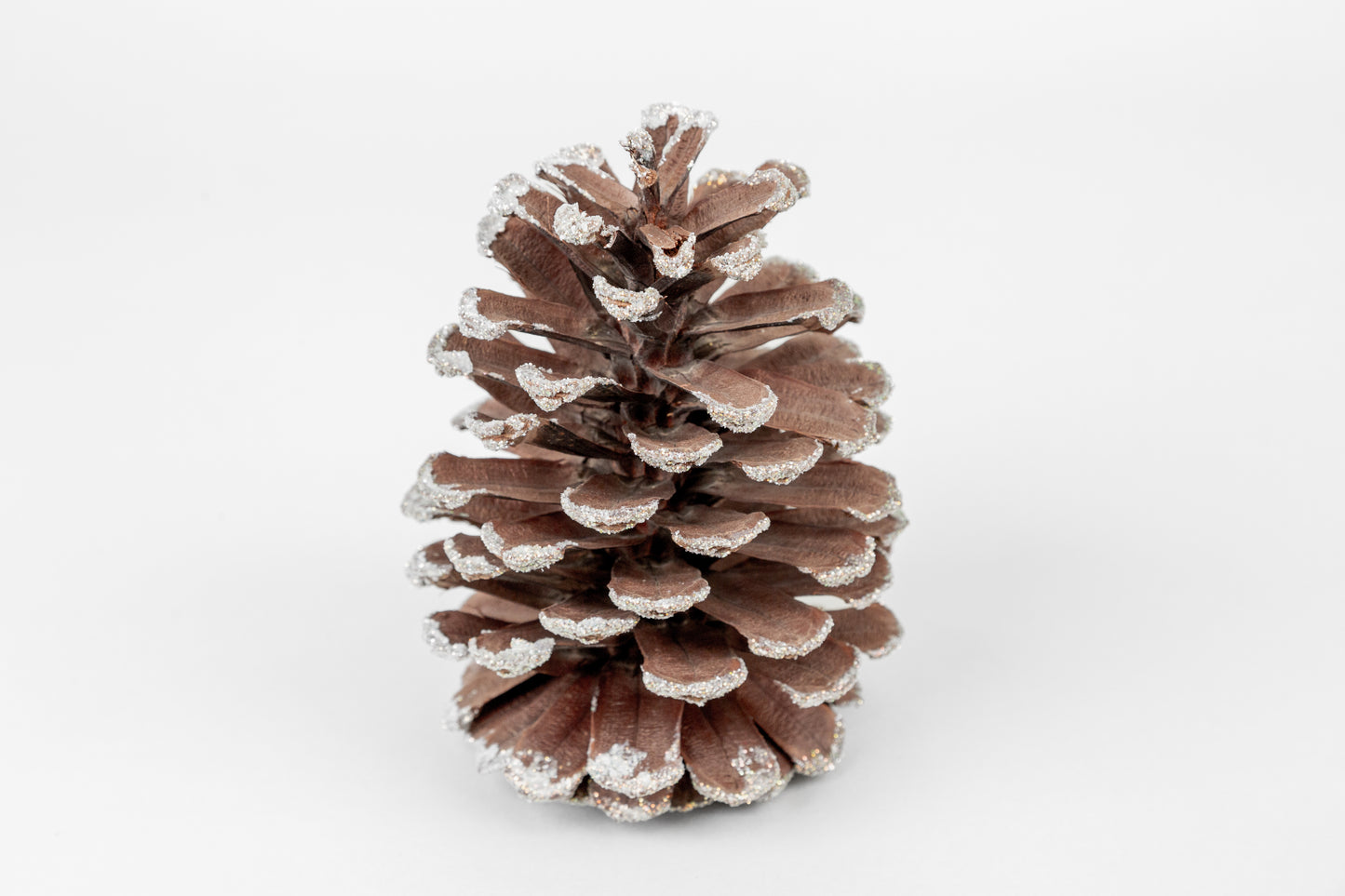 Long Leaf Cones (6-8"), 100 Pcs