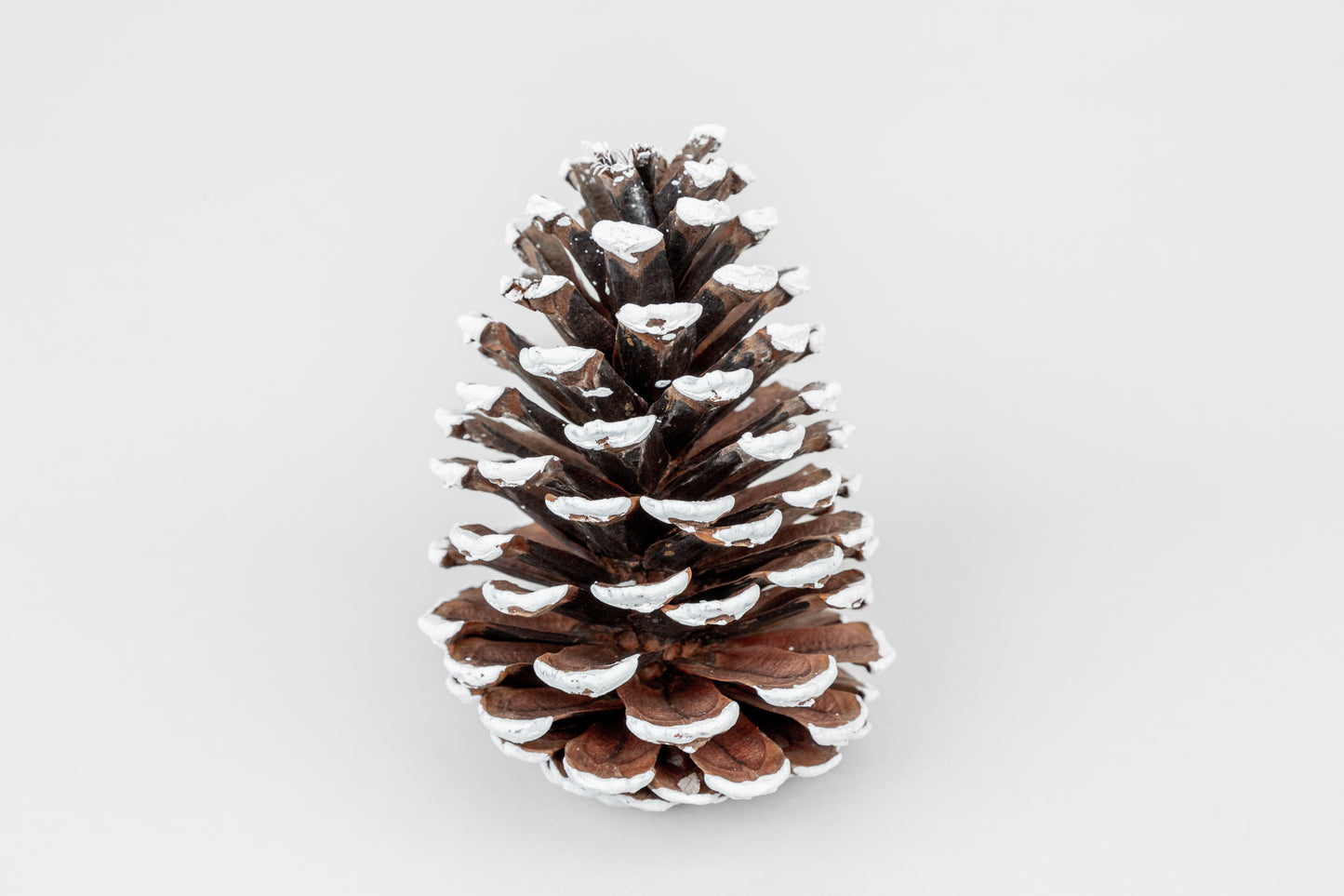 Slash Cones (4-6"), 100 Pcs - 18" Hyacinth Pick
