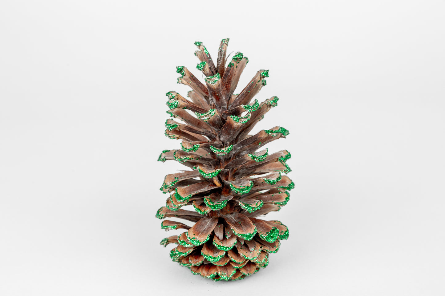 Long Leaf Cones (6-8"), 100 Pcs