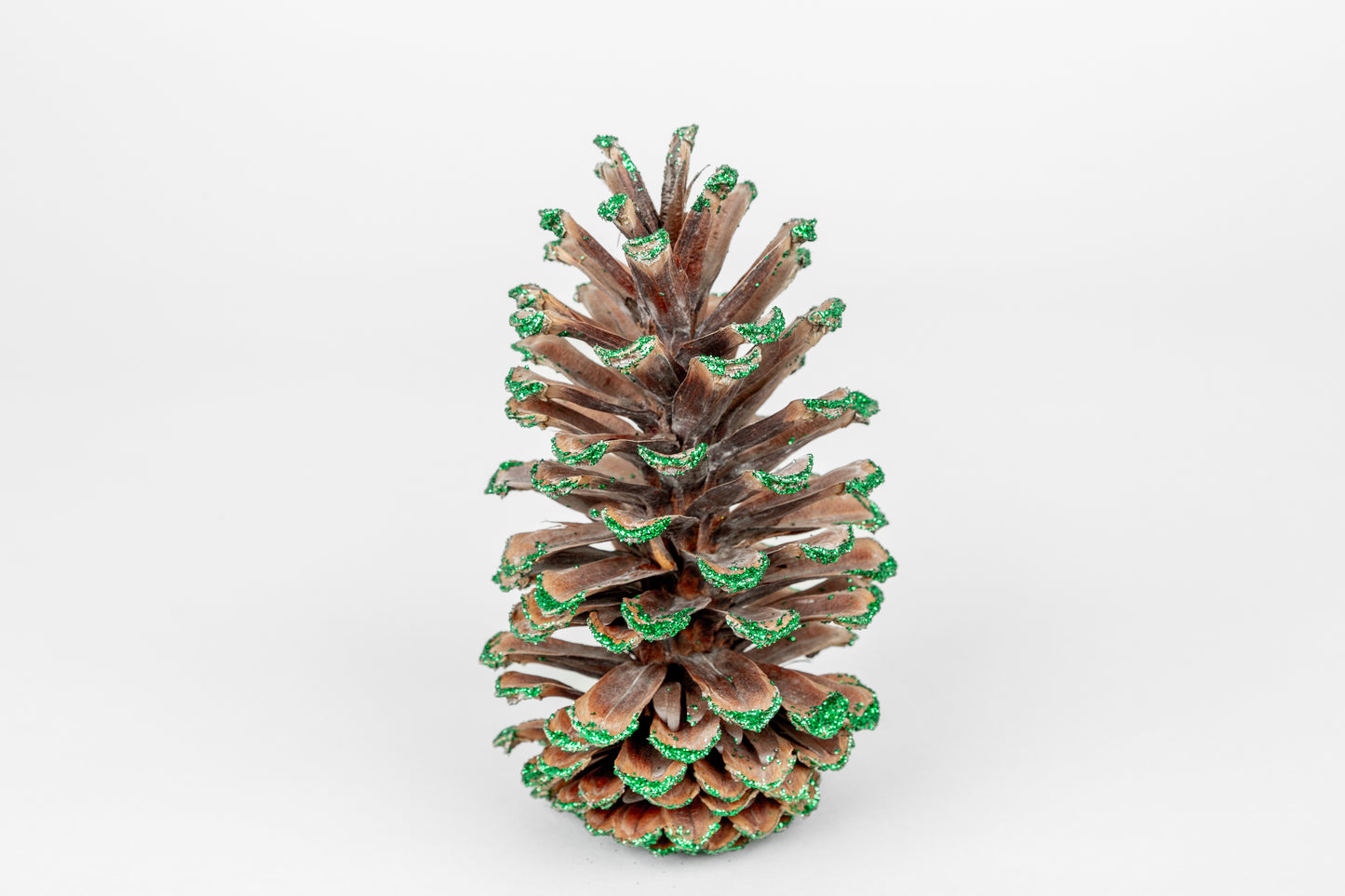 Long Leaf Cones (6-8"), 100 Pcs