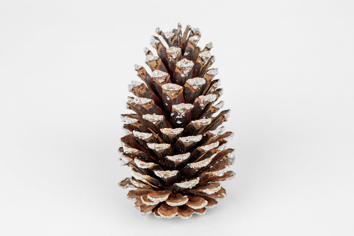 Slash Cones (4-6"), 100 Pcs - 18" Hyacinth Pick