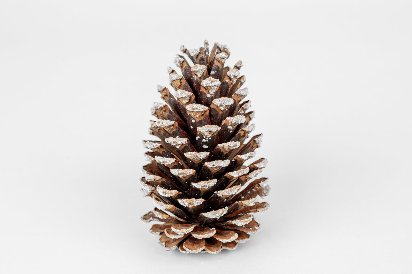 Slash Cones (4-6"), 100 Pcs - 18" Hyacinth Pick