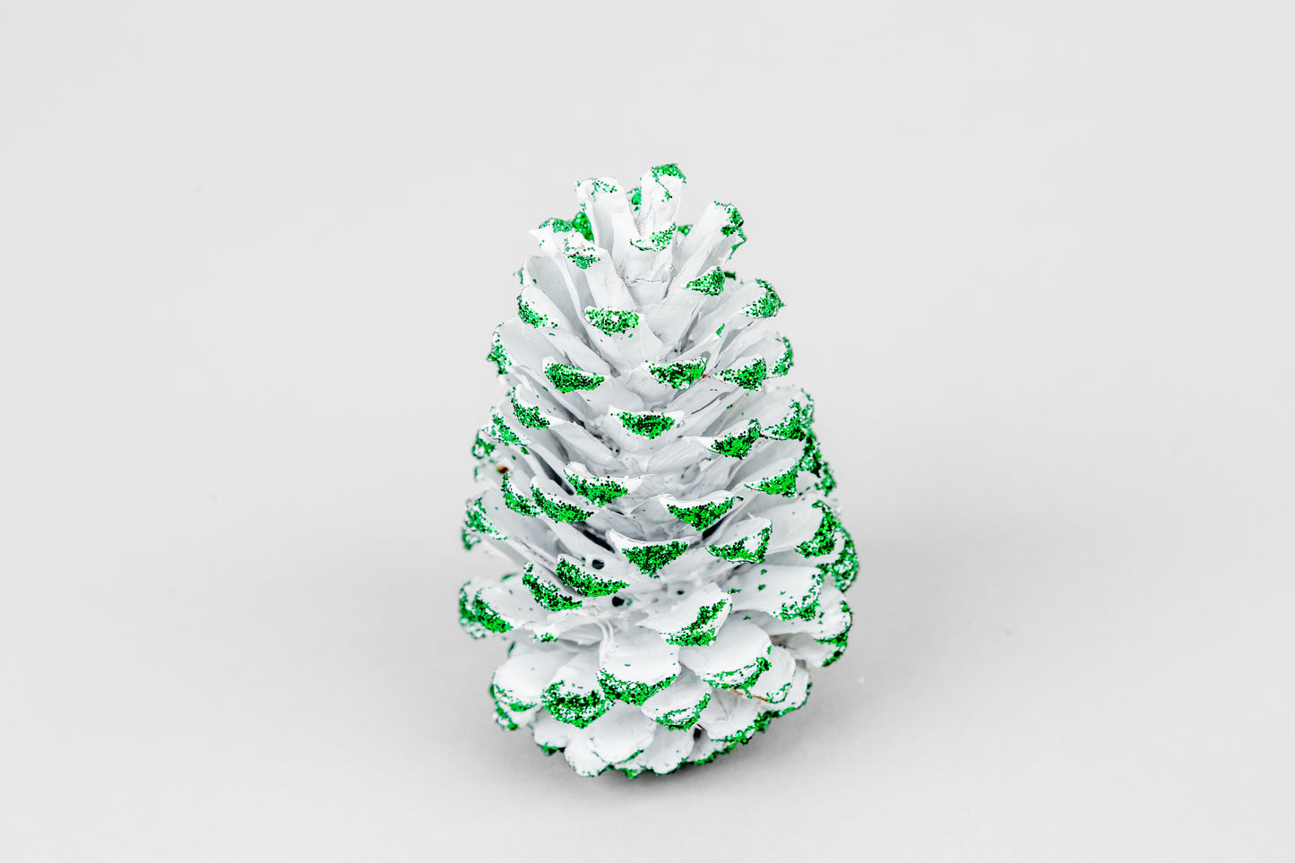 Loblolly Cones (3-4"), 100 Pcs
