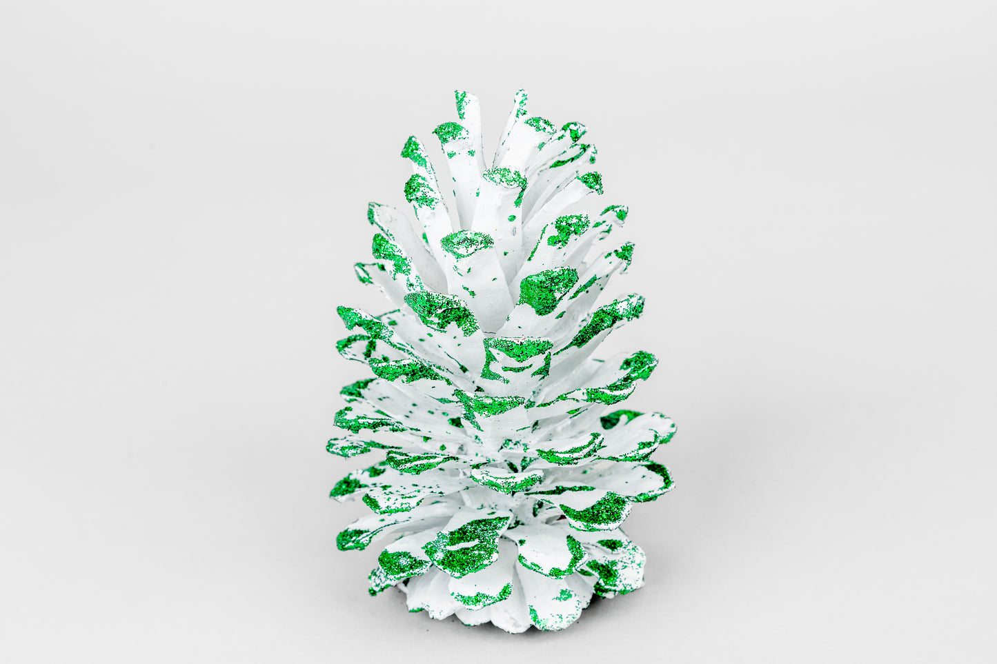 Long Leaf Cones (6-8"), 100 Pcs