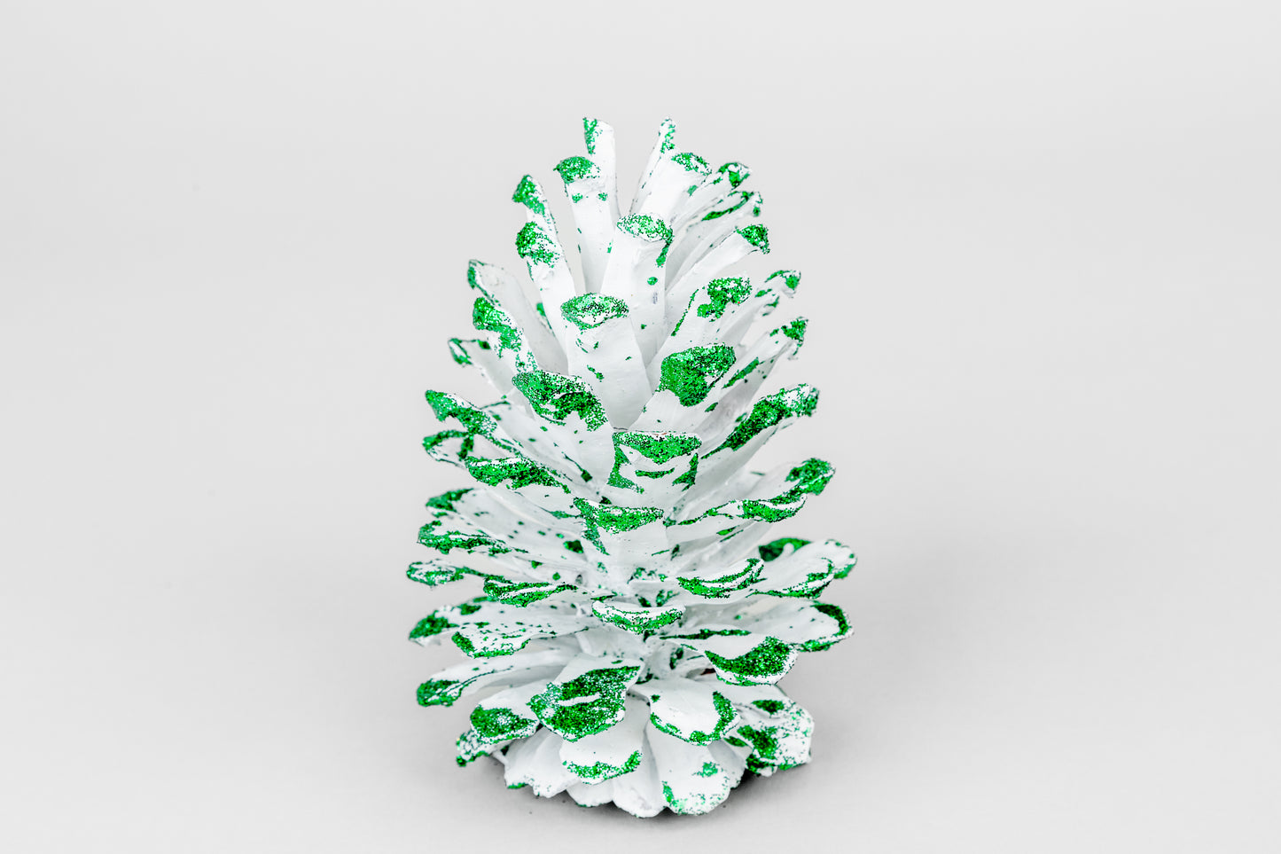 Long Leaf Cones (6-8"), 100 Pcs