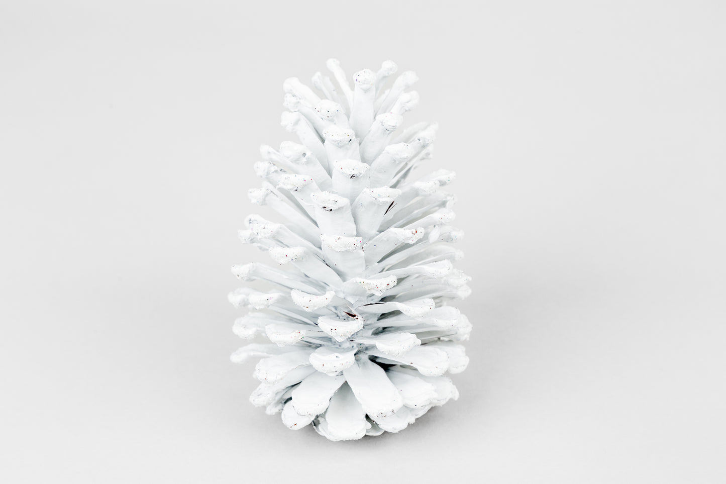 Slash Cones (4-6"), 100 Pcs - 18" Hyacinth Pick