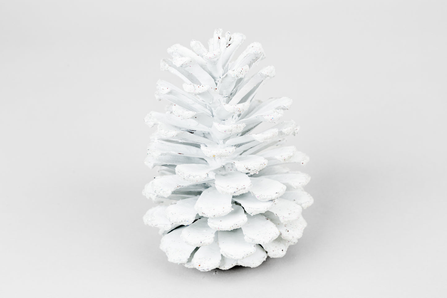 Long Leaf Cones (6-8"), 100 Pcs