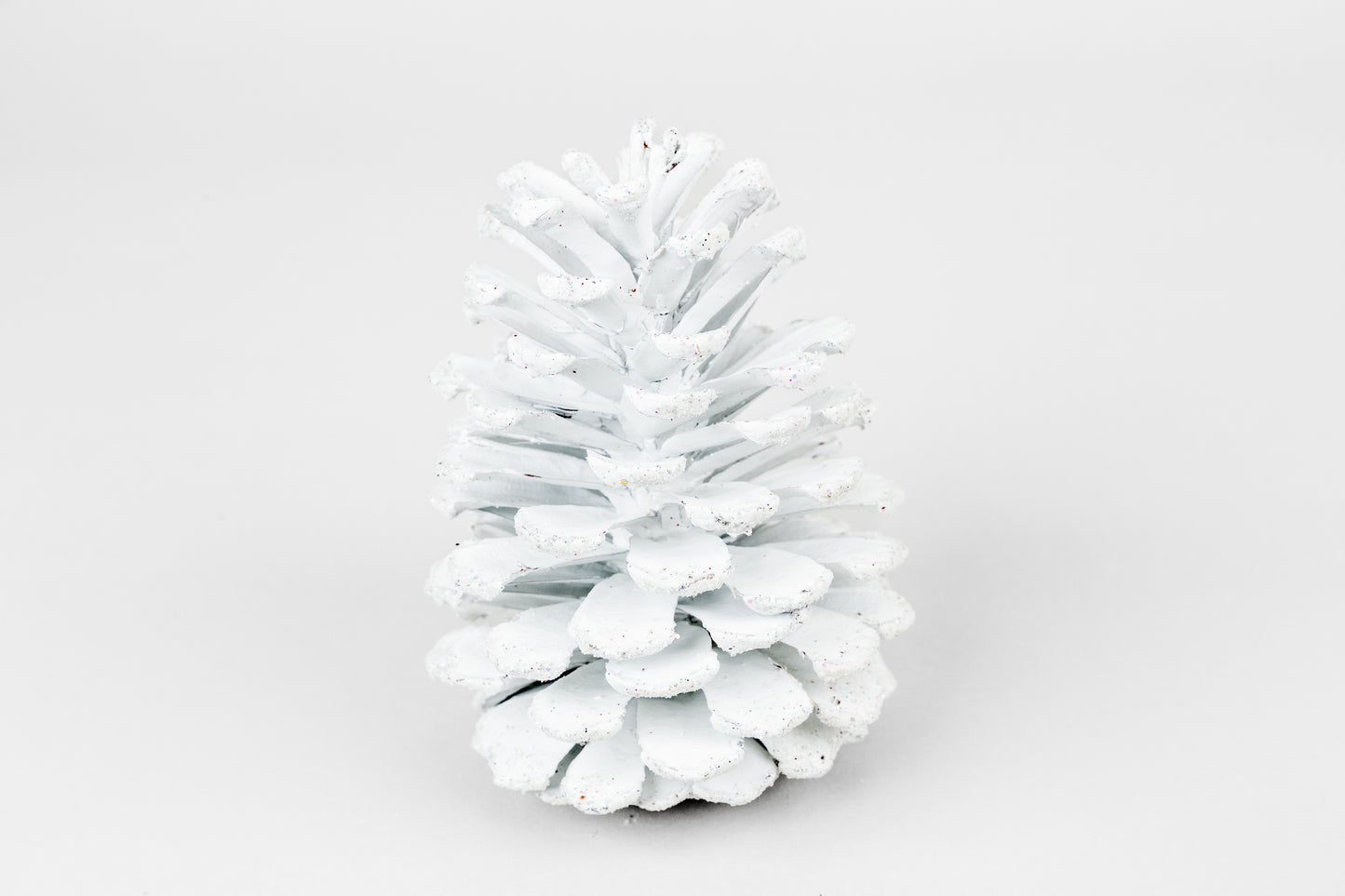 Long Leaf Cones (6-8"), 100 Pcs