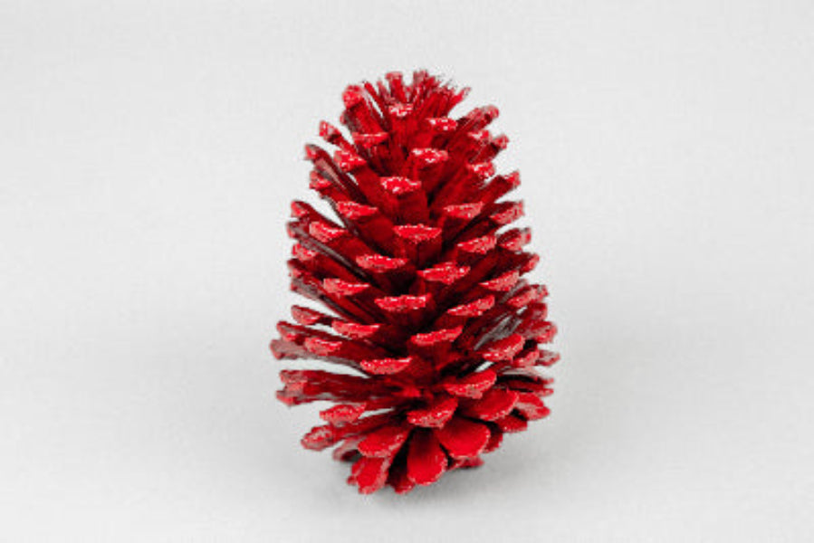 Slash Cones (4-6"), 100 Pcs - 18" Hyacinth Pick