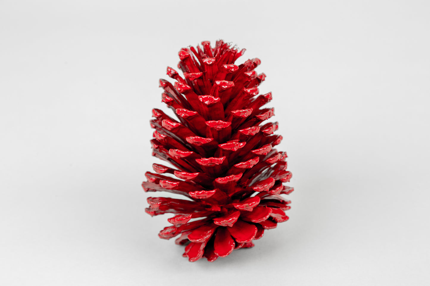 Slash Cones (4-6"), 100 Pcs - 18" Hyacinth Pick