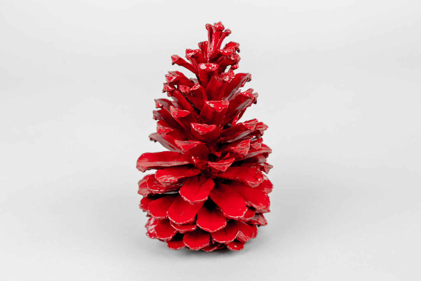 Long Leaf Cones (6-8"), 100 Pcs