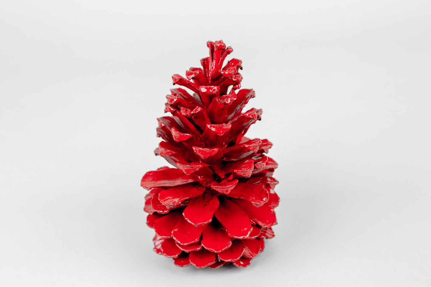Long Leaf Cones (6-8"), 100 Pcs