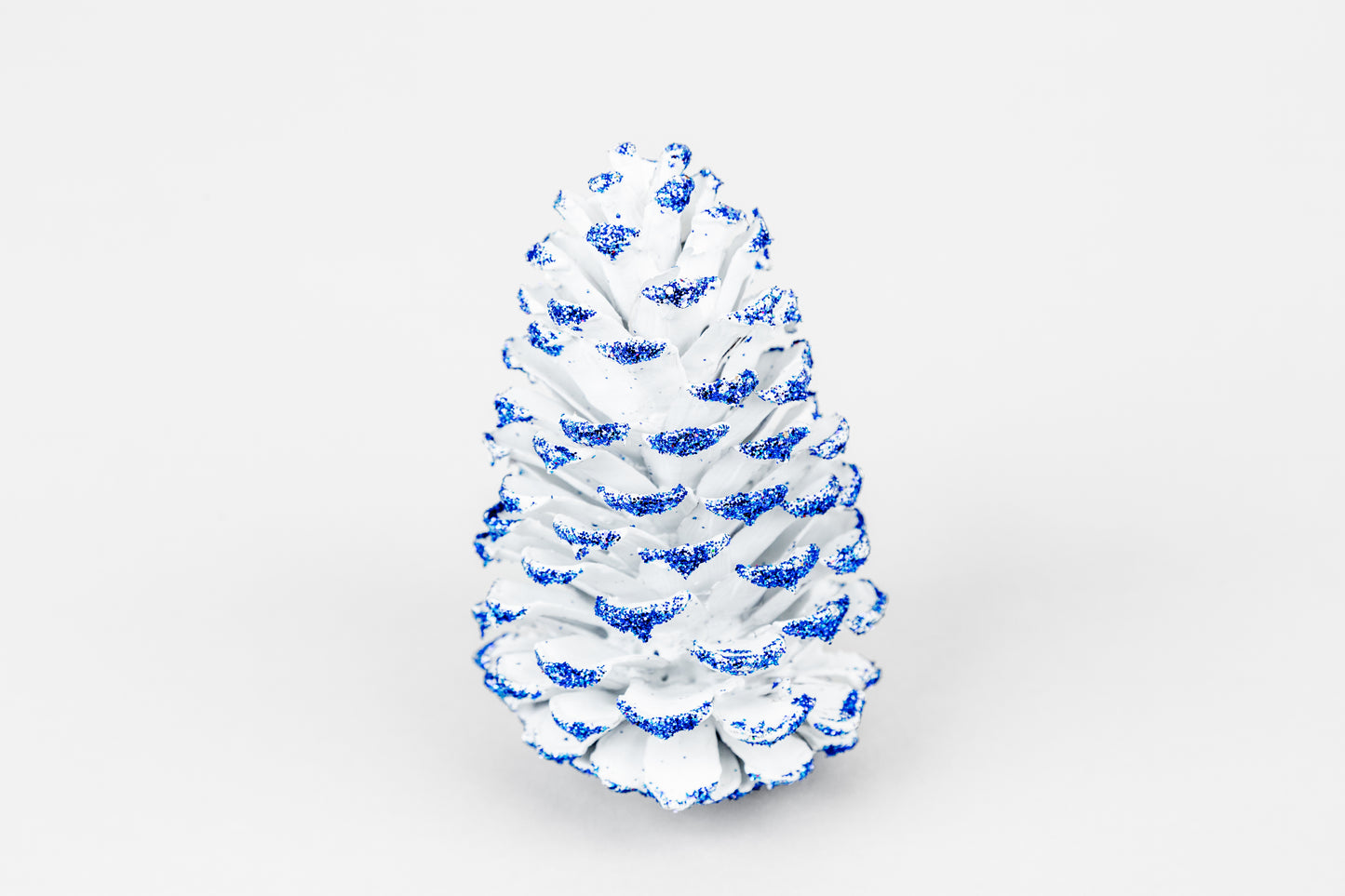 Loblolly Cones (3-4"), 100 Pcs