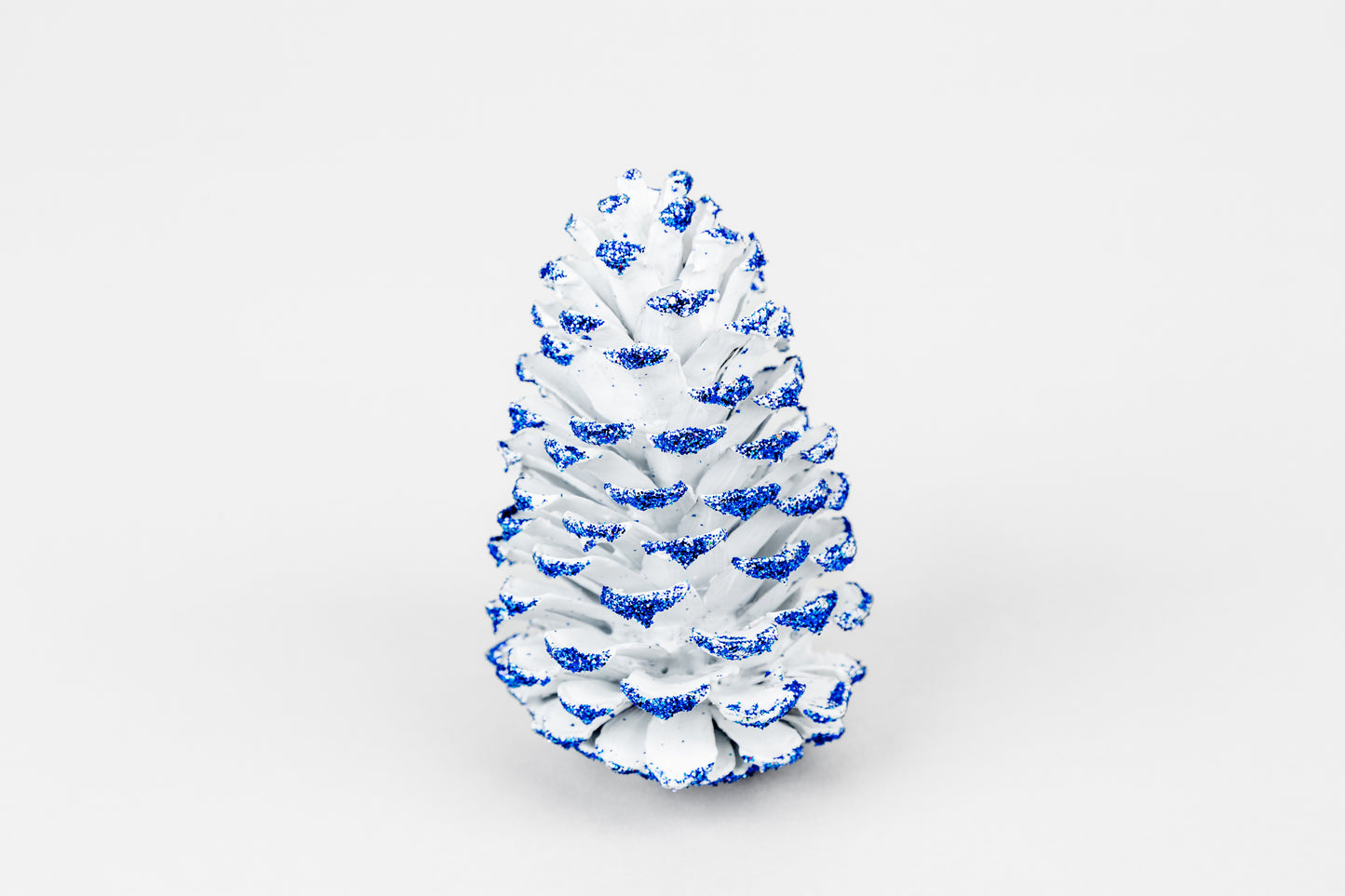 Loblolly Cones (3-4"), 100 Pcs