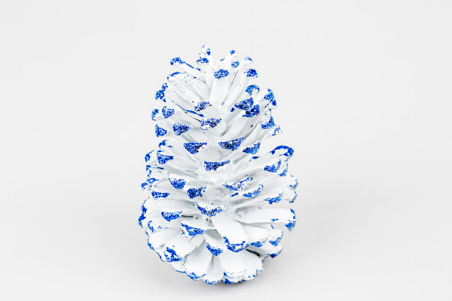Slash Cones (4-6"), 100 Pcs - 18" Hyacinth Pick