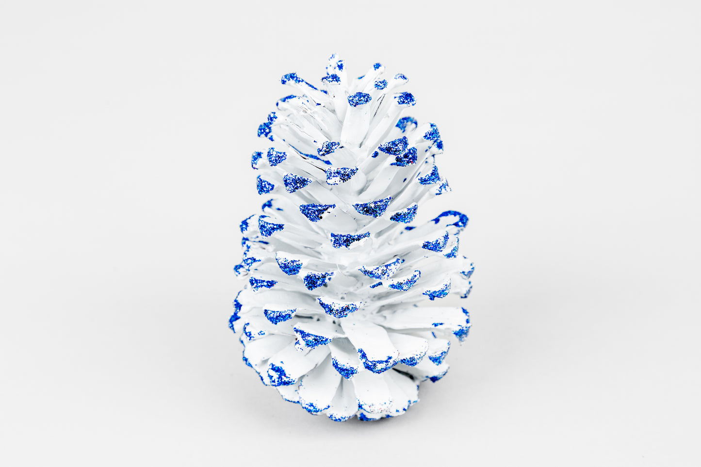 Long Leaf Cones (6-8"), 100 Pcs