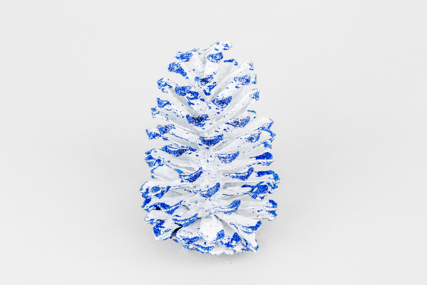 Long Leaf Cones (6-8"), 100 Pcs