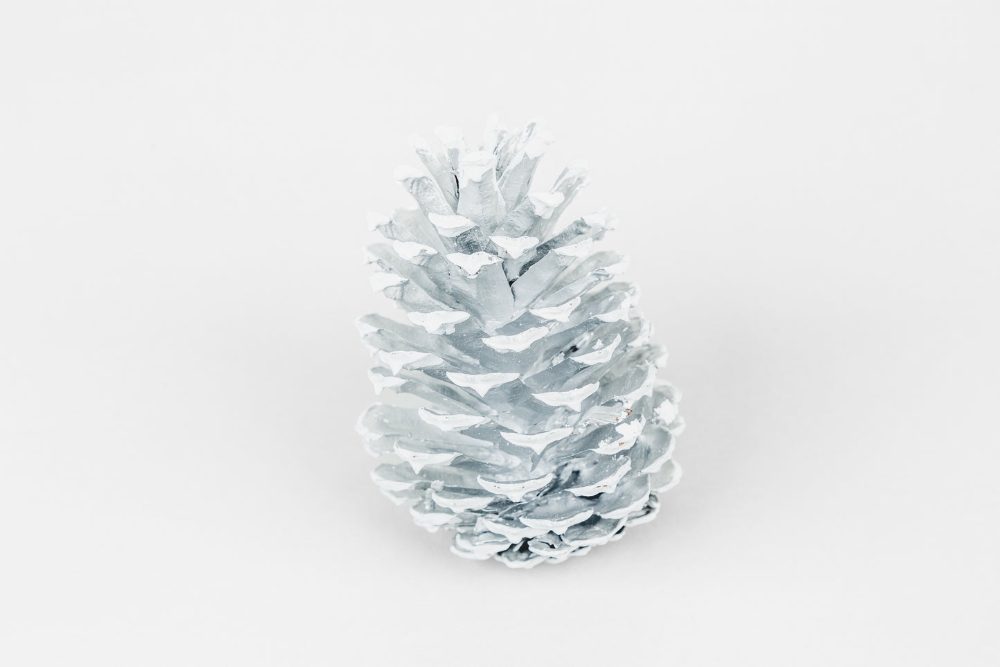 Slash Cones (4-6"), 100 Pcs - 18" Hyacinth Pick