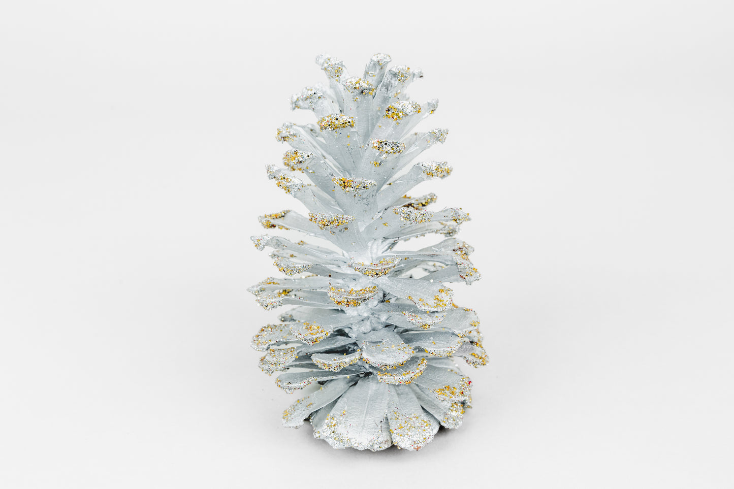 Long Leaf Cones (6-8"), 100 Pcs
