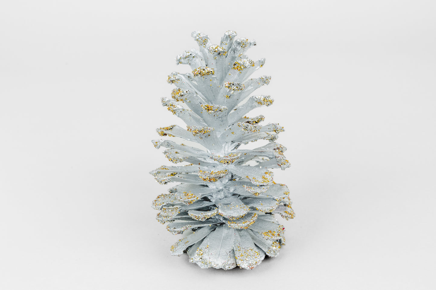 Long Leaf Cones (6-8"), 100 Pcs