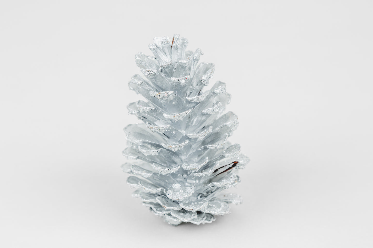 Long Leaf Cones (6-8"), 100 Pcs