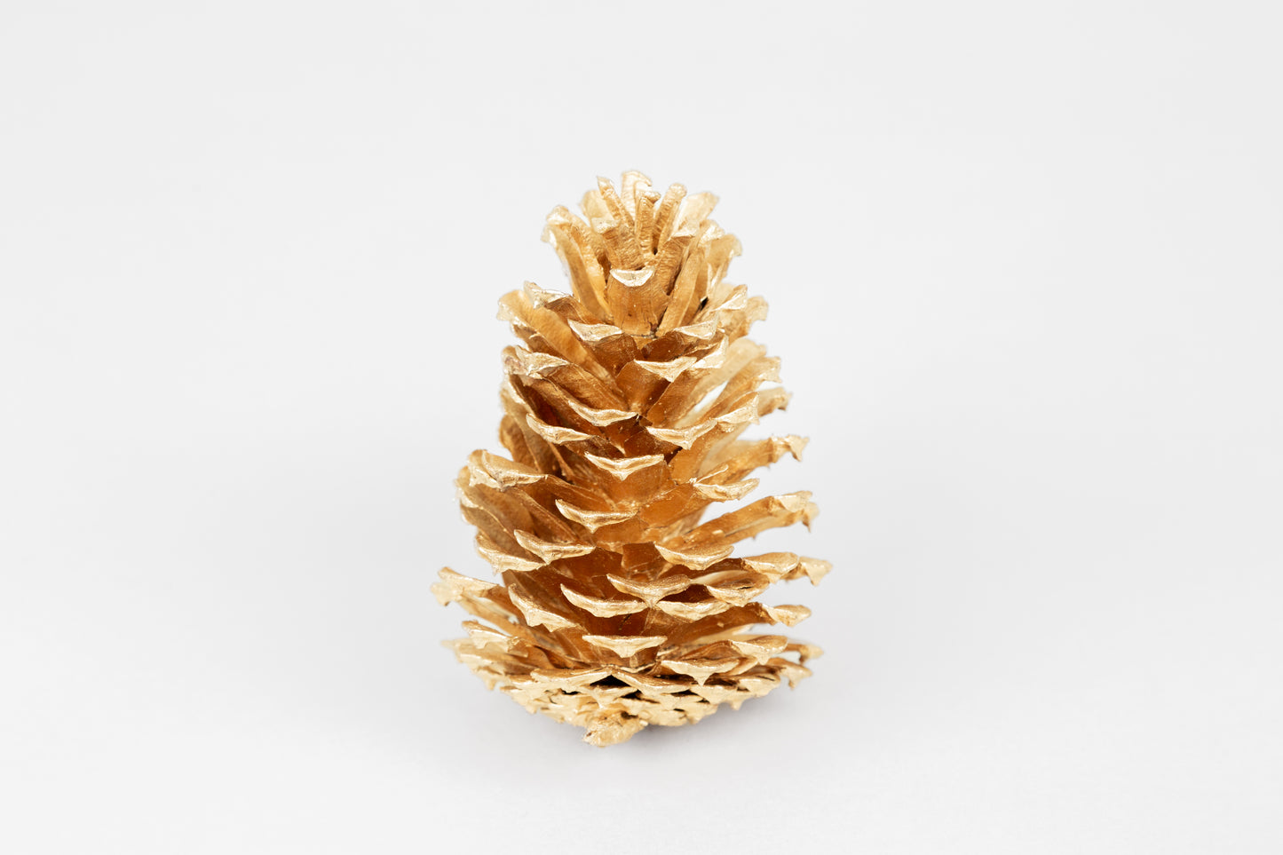 Slash Cones (4-6"), 100 Pcs - 18" Hyacinth Pick