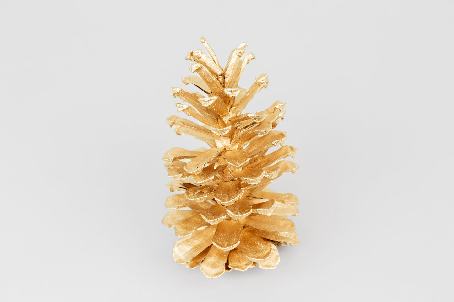 Long Leaf Cones (6-8"), 100 Pcs