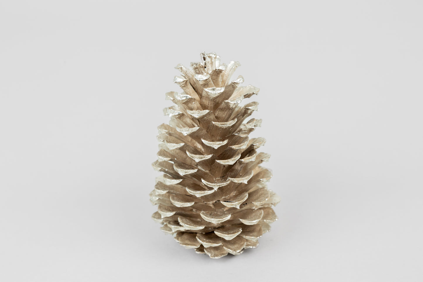 Slash Cones (4-6"), 100 Pcs - 18" Hyacinth Pick