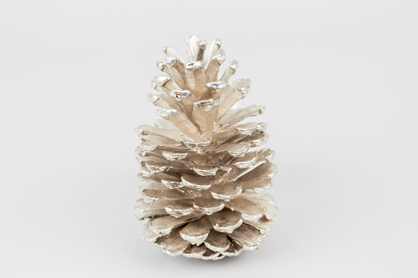Slash Cones (4-6"), 100 Pcs - 18" Hyacinth Pick