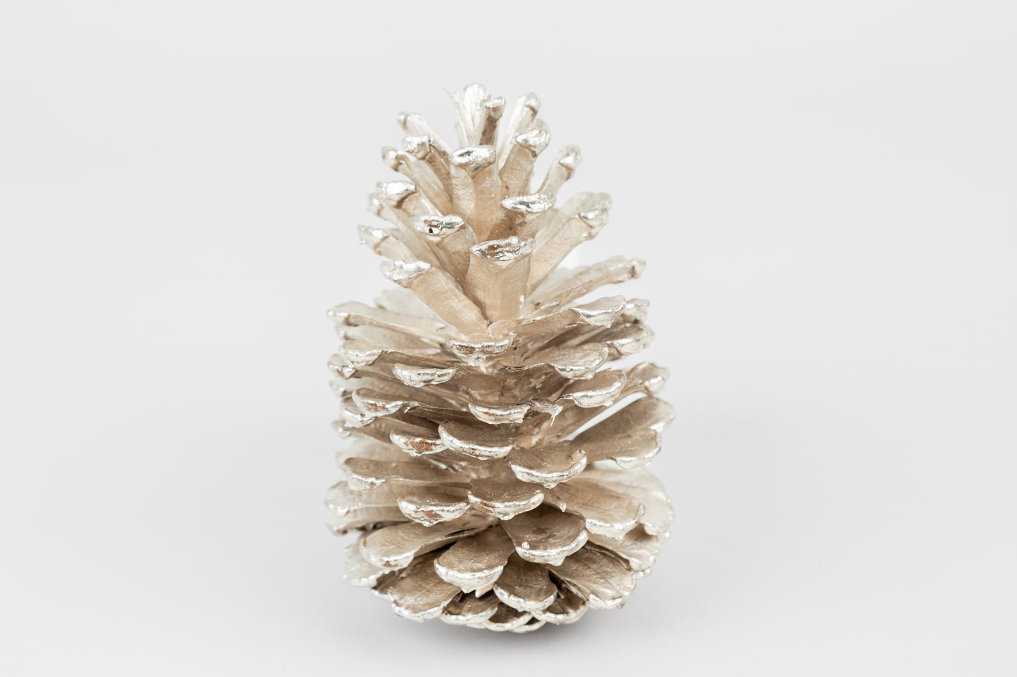 Long Leaf Cones (6-8"), 100 Pcs