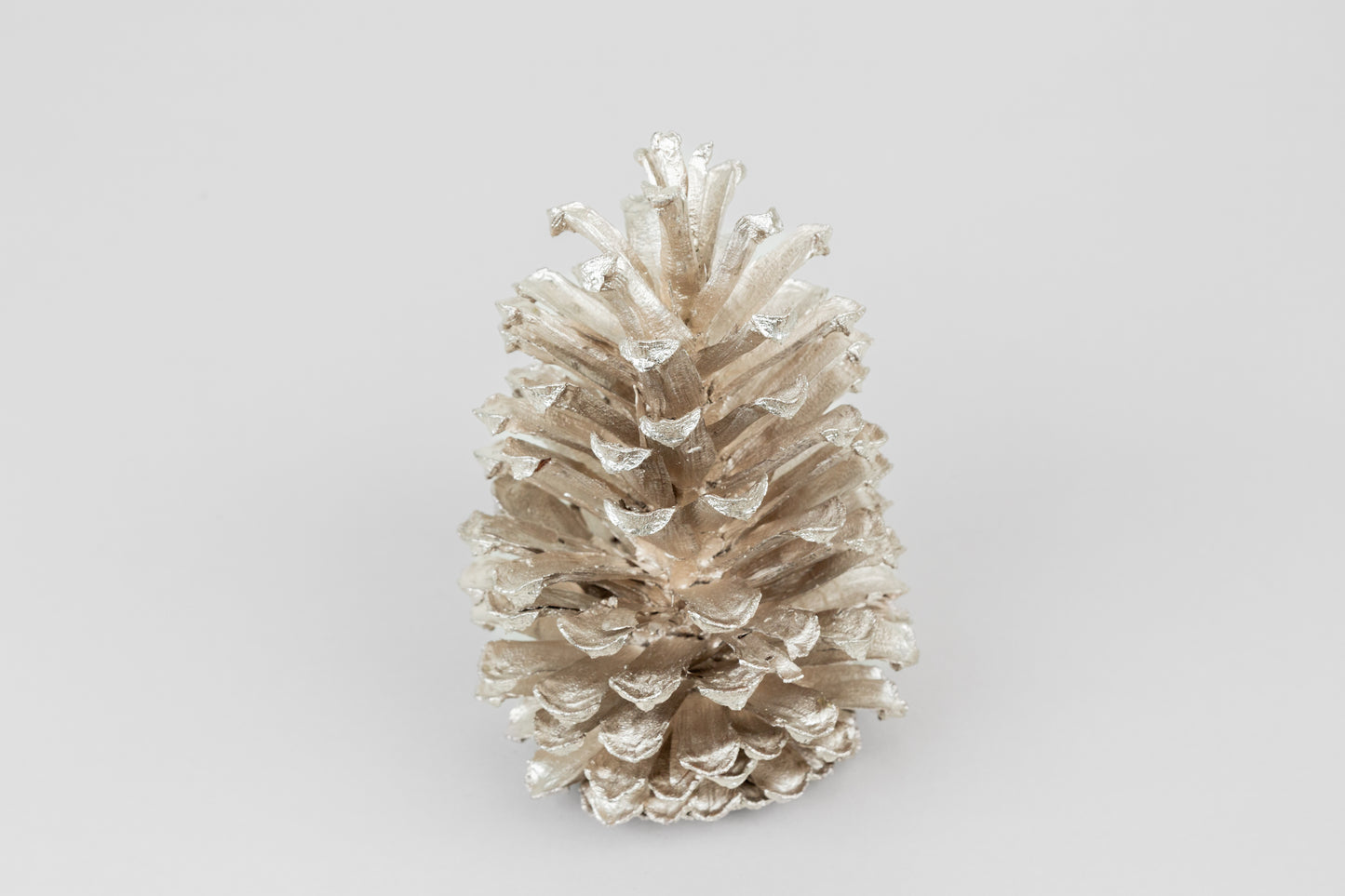 Long Leaf Cones (6-8"), 100 Pcs