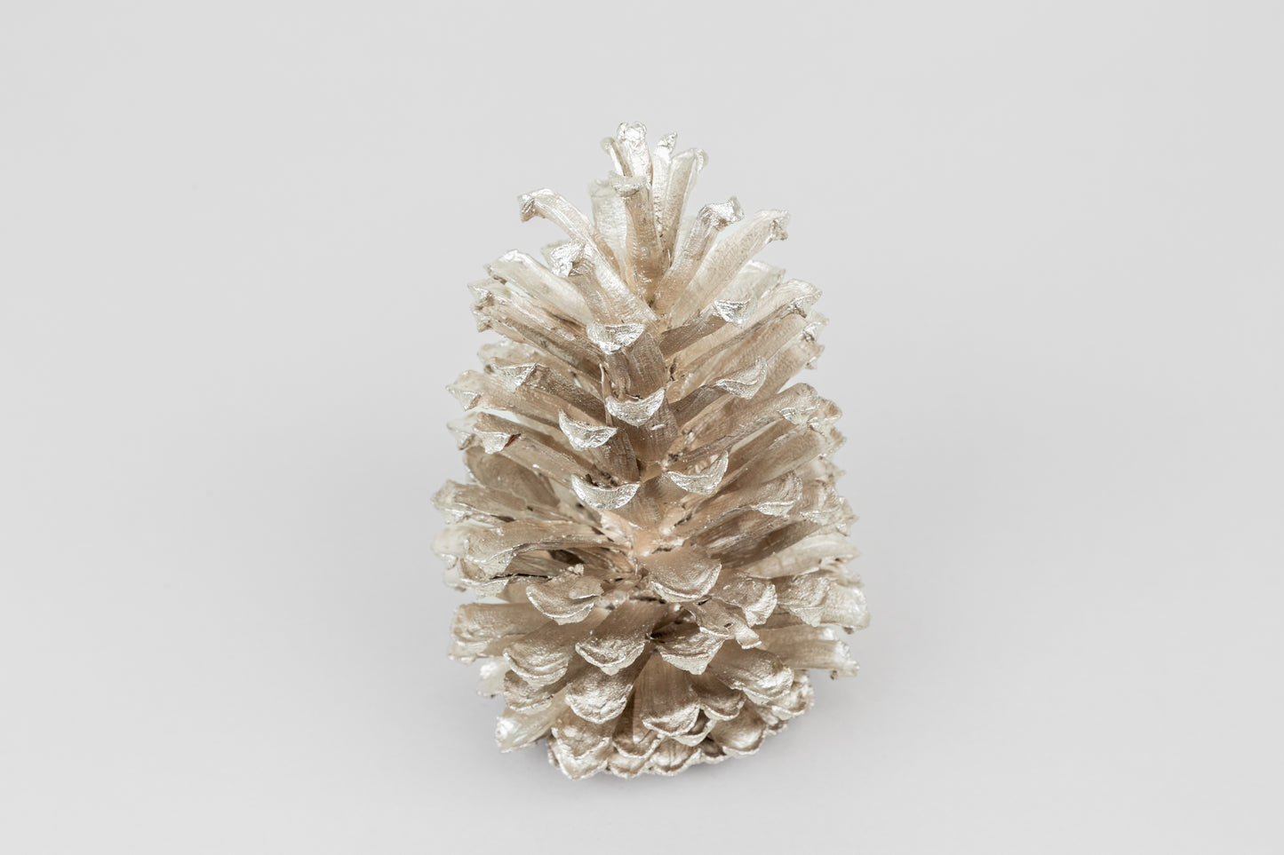 Long Leaf Cones (6-8"), 100 Pcs