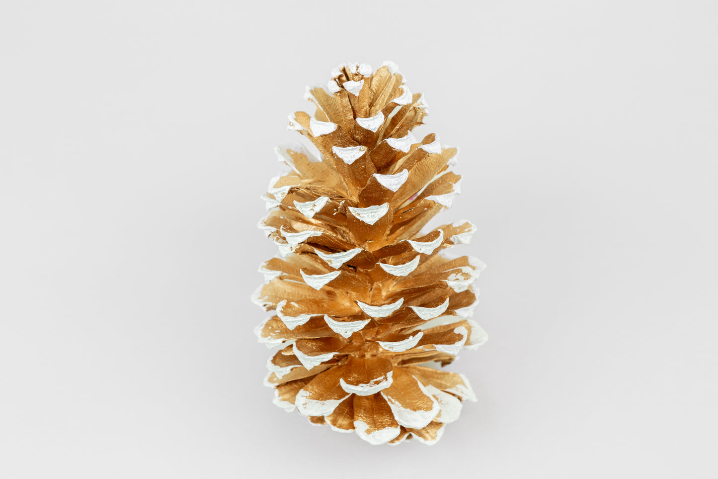 Long Leaf Cones (6-8"), 100 Pcs