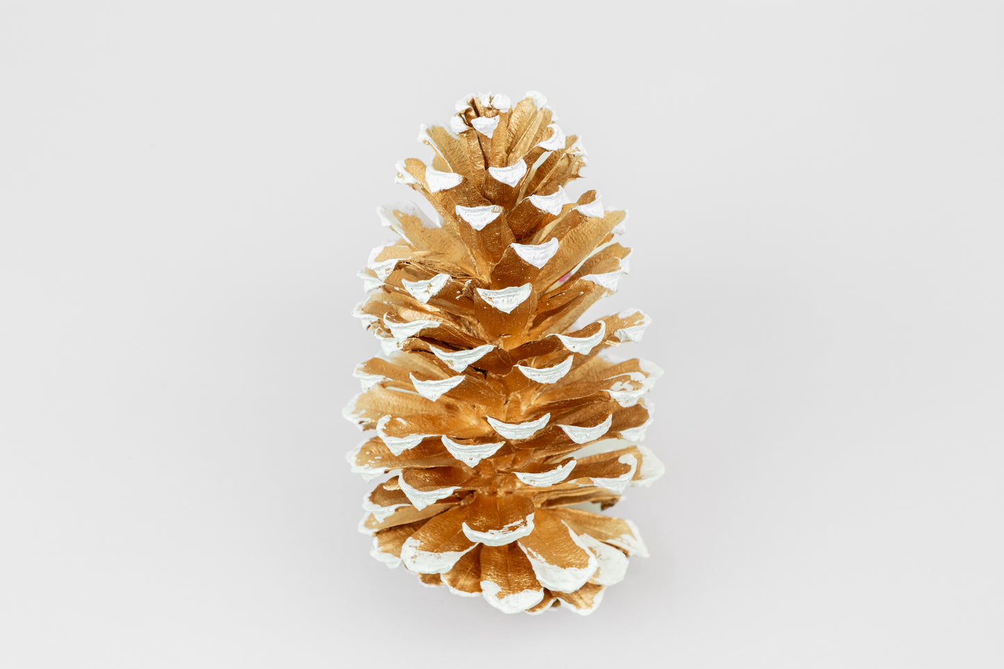 Long Leaf Cones (6-8"), 100 Pcs