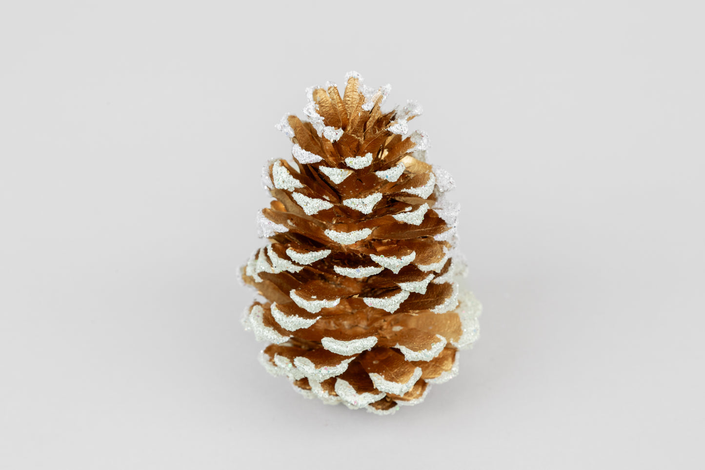 Loblolly Cones (3-4"), 100 Pcs